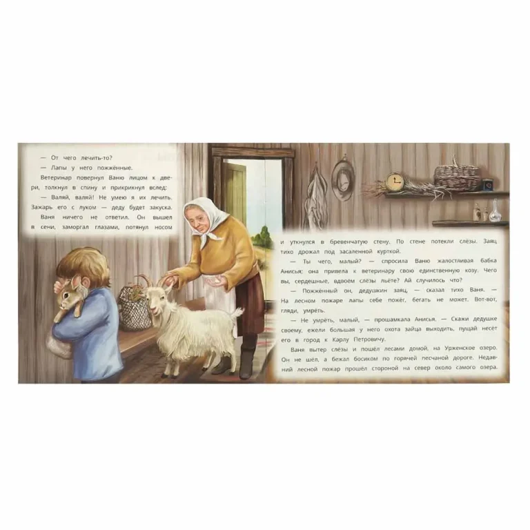 Заячьи лапы. Паустовский К. Г. Рассказы о животных