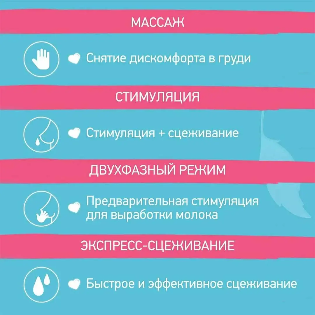 2af41974-e66e-4f16-8be0-12a8ed341686.webp