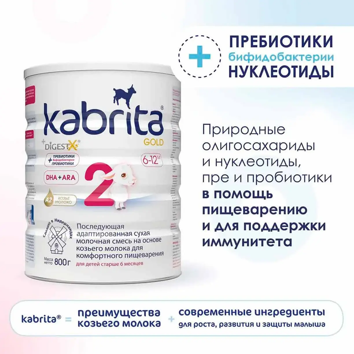 782c549f-a862-4c10-a028-c5648db3bf11.webp