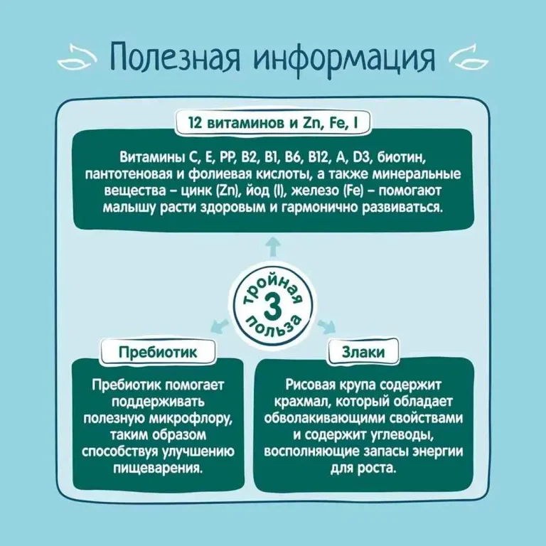 Каша рисовая ФрутоНяня молочная с тыквой и абрикосом 200 гр с 5+ мес
