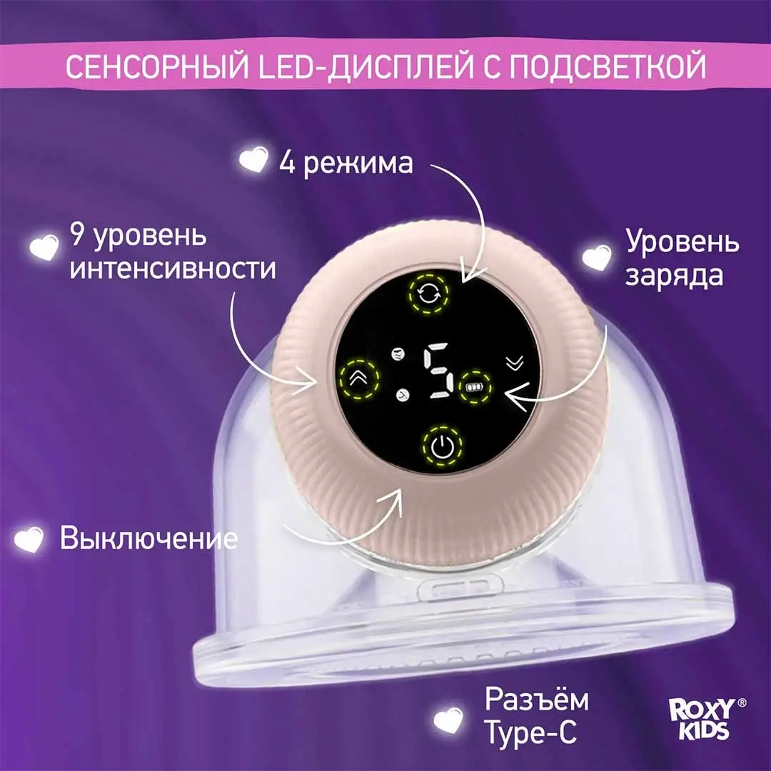 7986462c-0e68-4c4f-bfed-99596de0acea.webp