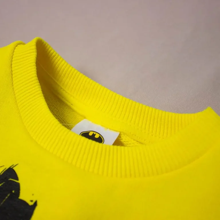 Комплект 2ка Свитшот + штаны Disney baby Batman