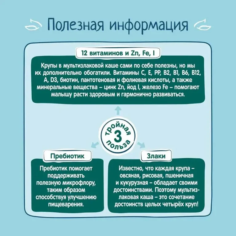 Каша мультизлаковая ФрутоНяня молочная с пребиотиками 200 гр с 6+ мес