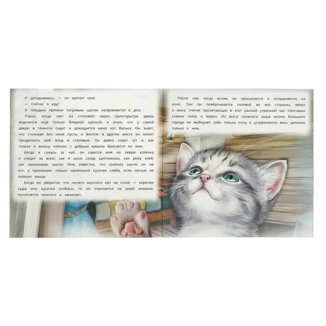 Кот. Пришвин М. М. Рассказы о животных