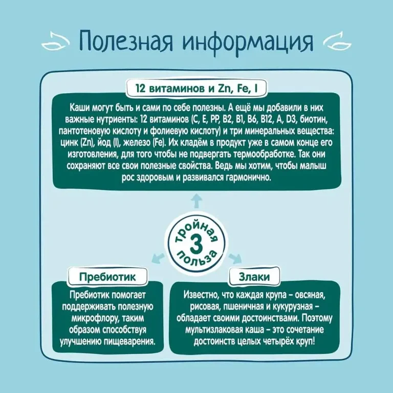 Каша мультизлаковая ФрутоНяня молочная с яблоком и черной смородиной 200 гр с 6+ мес