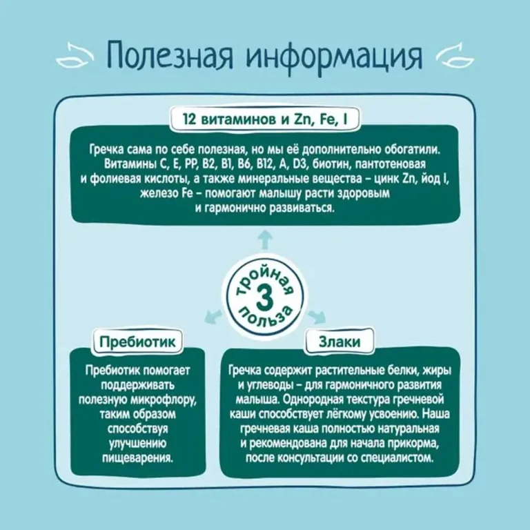 Гречневая каша ФрутоНяня безмолочная 200 гр с 4+ мес